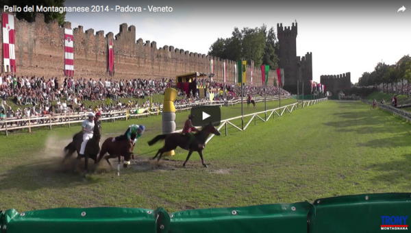 video-palio2014-600x340